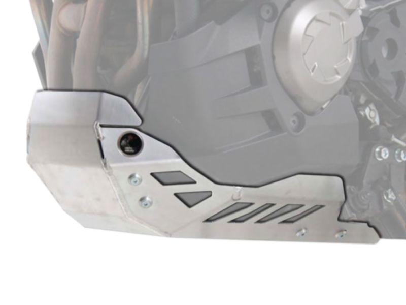 Hepco & Becker Protector Motor Kawasaki Versys 1000 (2015-)