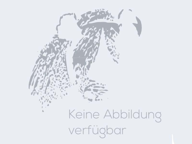 Hepco & Becker Protector depósito Suzuki V-Strom 1000 ABS (2017- | negro)